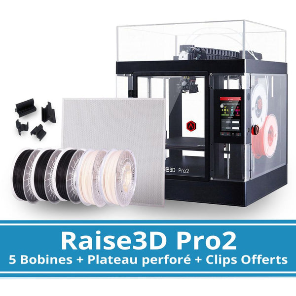 DESTOCKAGE - Imprimante 3D RAISE3D pro2