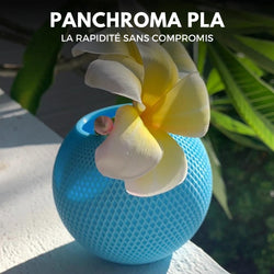 Panchroma Basic PLA - Bleu Aqua (Aqua Blue) - 1,75 mm - 1 kg