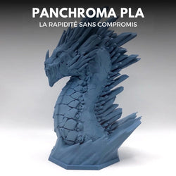 Panchroma PLA - Bleu Pierre (Stone Blue) - 1,75 mm - 1 kg