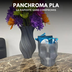 Panchroma Basic PLA - Gris Foncé (Dark Grey) - 1,75 mm - 1 kg