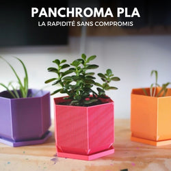 Panchroma Basic PLA - Magenta - 1,75 mm - 1 kg
