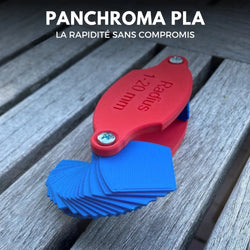 Panchroma Basic PLA - Rouge Vin (Wine Red) - 1,75 mm - 1 kg