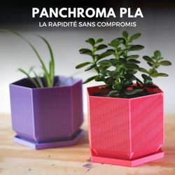 Panchroma Basic PLA - Violet (Purple) - 1,75 mm - 1 kg