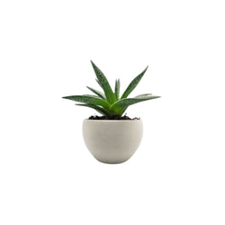 Recreus - Filaflex Purifier 82A - Minéral - 1,75 mm - 500 g